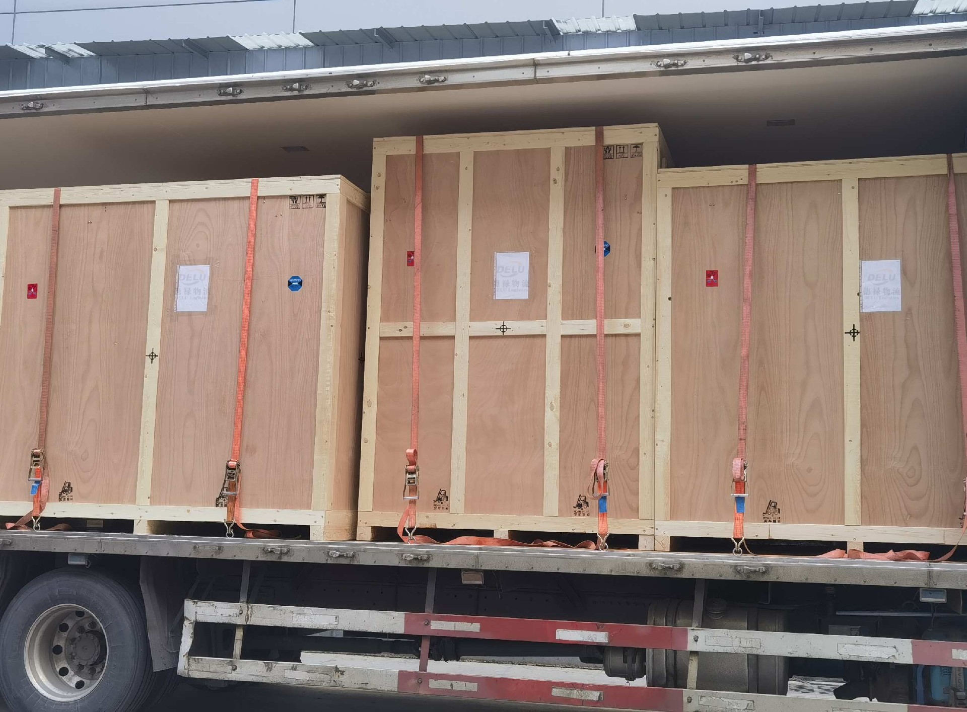 微信圖片_20241223100529 (1).jpg